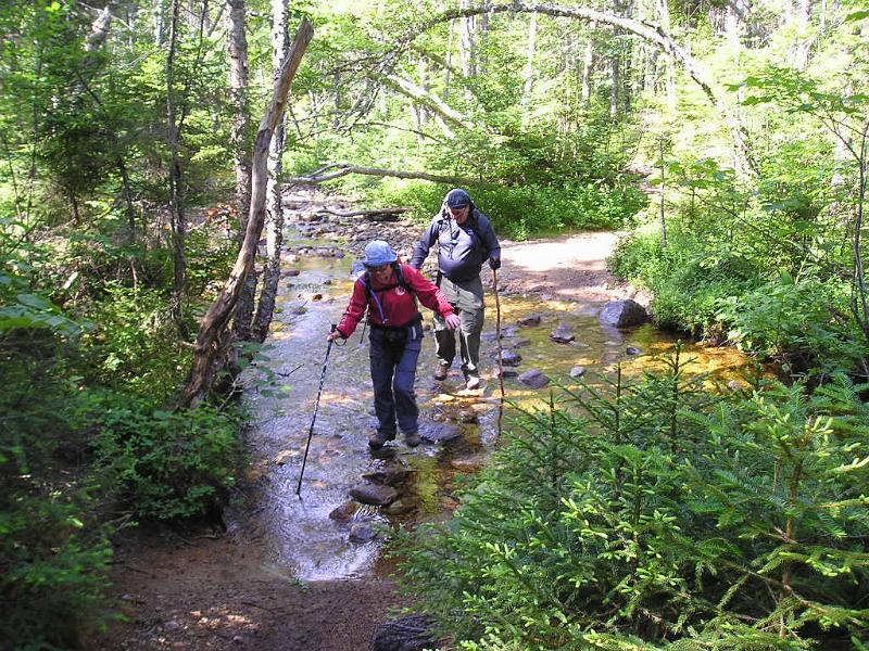CdearBrook (6).JPG - Yes, another stream crossing. Even easier than the last one. I think in total we crossed 5 streams. Give or take a stream or two.